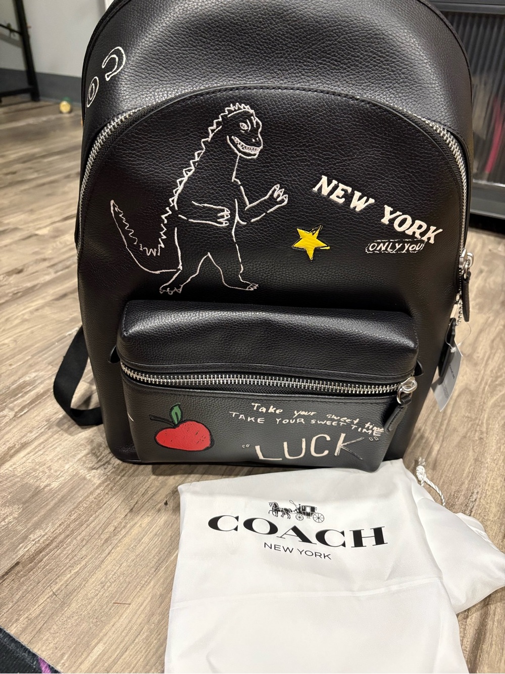 Coach Charter Sketch Rexy Leather Backpack